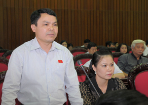 Đại biểu Nguyễn Tiến Sinh phát biểu thảo luận tại hội trường.